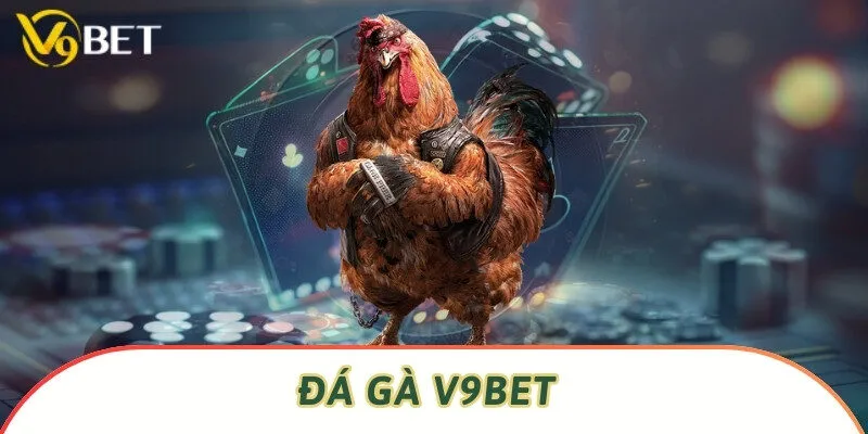 Đá gà V9bet thưởng lớn