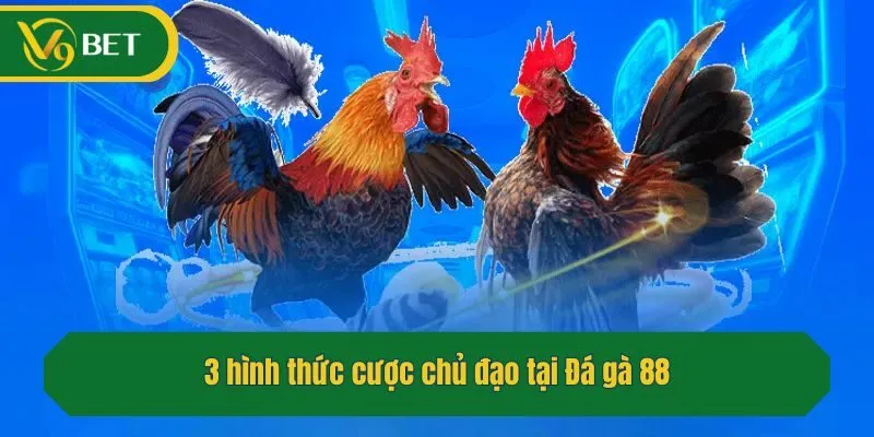 3 hình thức cược chủ đạo tại Đá gà 88