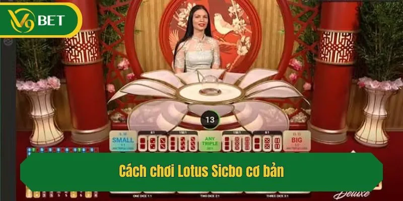Cách chơi Lotus Sicbo cơ bản