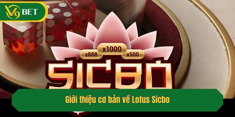 Giới thiệu cơ bản về Lotus Sicbo