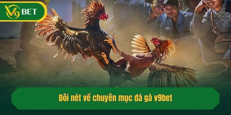 Đôi nét về chuyên mục