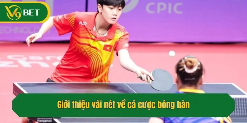 Giới thiệu vài nét về cá cược bóng bàn