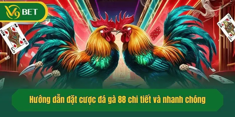 Hướng dẫn đặt cược đá gà 88 chi tiết và nhanh chóng