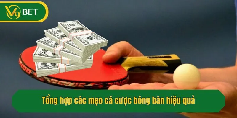 Tổng hợp các mẹo cá cược bóng bàn hiệu quả