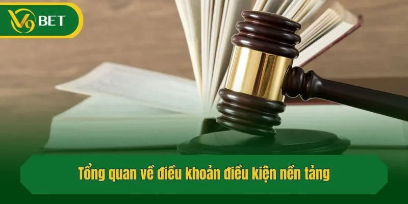 Tổng quan về điều khoản điều kiện nền tảng